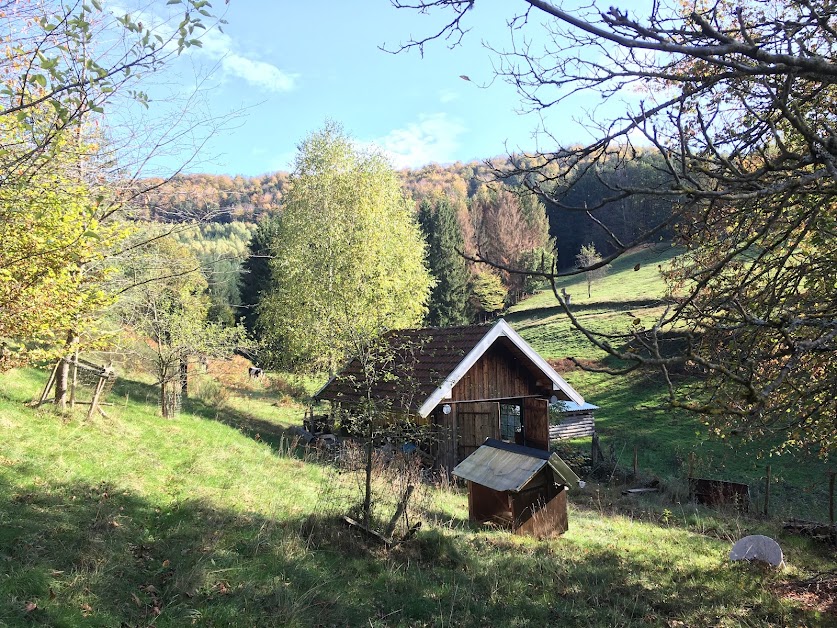 La Colline terrain naturel privé à Abreschviller (Moselle 57)