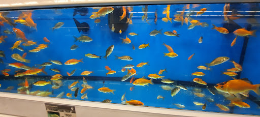 Pet Supply Store «Petco Animal Supplies», reviews and photos, 1419 Towne Square Blvd NW, Roanoke, VA 24019, USA