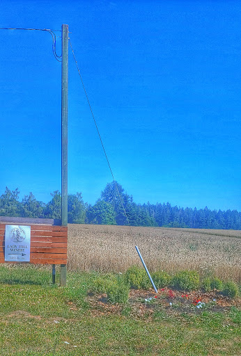 Winery «Lady Hill Winery», reviews and photos, 8400 Champoeg Rd NE, St Paul, OR 97137, USA