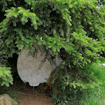 Photo n°4 de l'avis de Roter.a fait le 29/05/2022 à 13:47 sur le  Weinfurtner - DAS GLASDORF in Arnbruck im Bayerischen Wald à Arnbruck