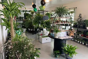 Plantology Cafe image