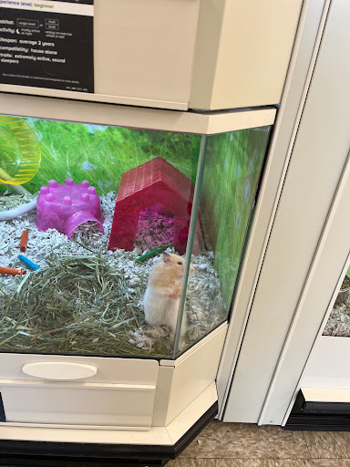 Pet Supply Store «PetSmart», reviews and photos, 50 International Dr S, Flanders, NJ 07836, USA