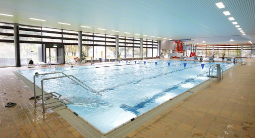 Schwimmkurse für Erwachsene Stuttgart