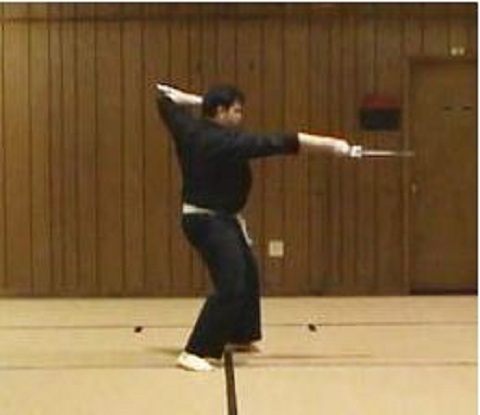 Zen Bu Kai Martial Arts