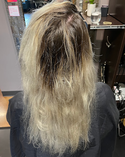 Beauty Salon «Anani Salon and Spa», reviews and photos, 2505 SW White Birch Dr, Ankeny, IA 50023, USA