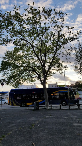 Park «Virginia Park», reviews and photos, 1878 Cross Bronx Expy, Bronx, NY 10472, USA