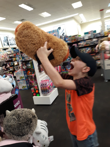 Book Store «Books-A-Million», reviews and photos, 318 Cox Creek Pkwy, Florence, AL 35630, USA