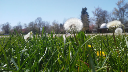 Park «Observatory Park», reviews and photos, 2100 S Fillmore St, Denver, CO 80210, USA