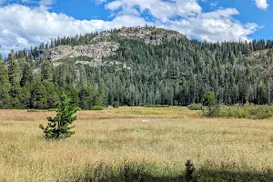 Loney Meadow Interpretive Trail image