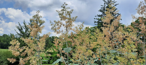 Museum «Union Mills Homestead», reviews and photos, 3311 Littlestown Pike, Westminster, MD 21158, USA