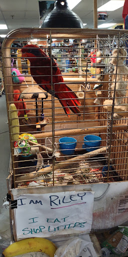 Music Store «Mr Zeros», reviews and photos, 1744 Lexington Ave N, Roseville, MN 55113, USA