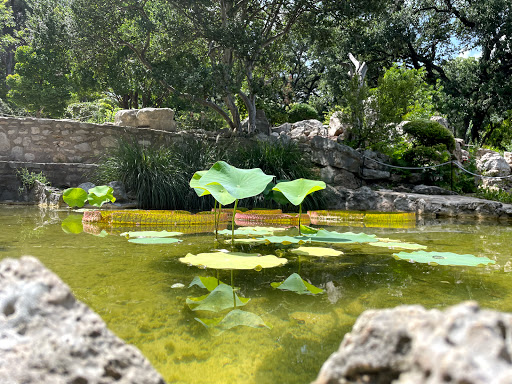 Botanical Garden «Zilker Botanical Garden», reviews and photos, 2220 Barton Springs Rd, Austin, TX 78746, USA