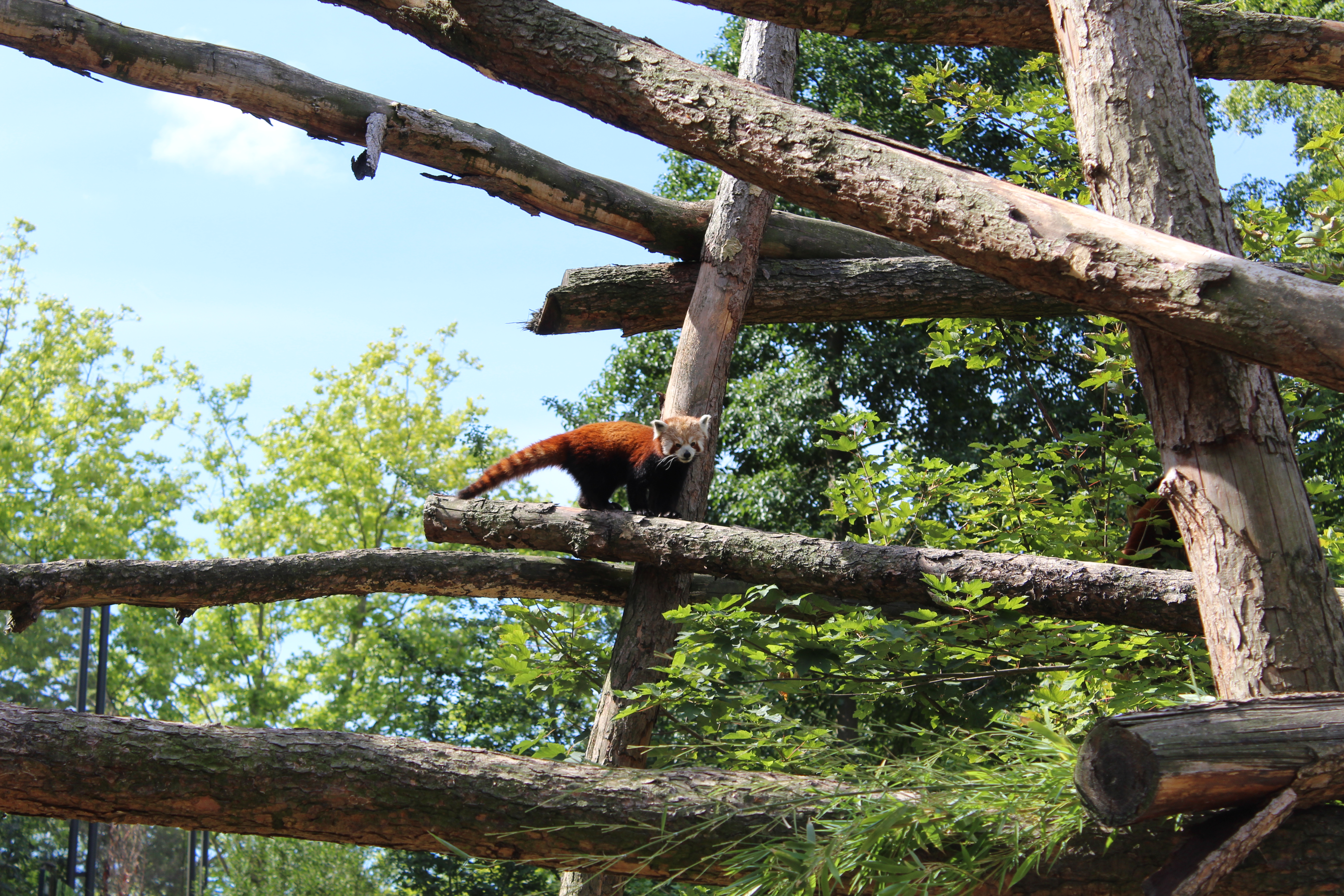 Photo n° 1 de l'avis de Malaurie.u fait le 01/08/2022 à 09:45