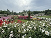伊奈バラ園
