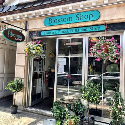 Florist «Blossom Shop», reviews and photos, 138 Orange St, New Haven, CT 06510, USA