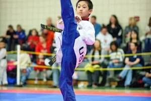 Kim's World Champion TKD Academy image
