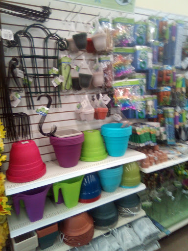 Dollar Store «Dollar Tree», reviews and photos, 10408 Trinity Pkwy a, Stockton, CA 95219, USA