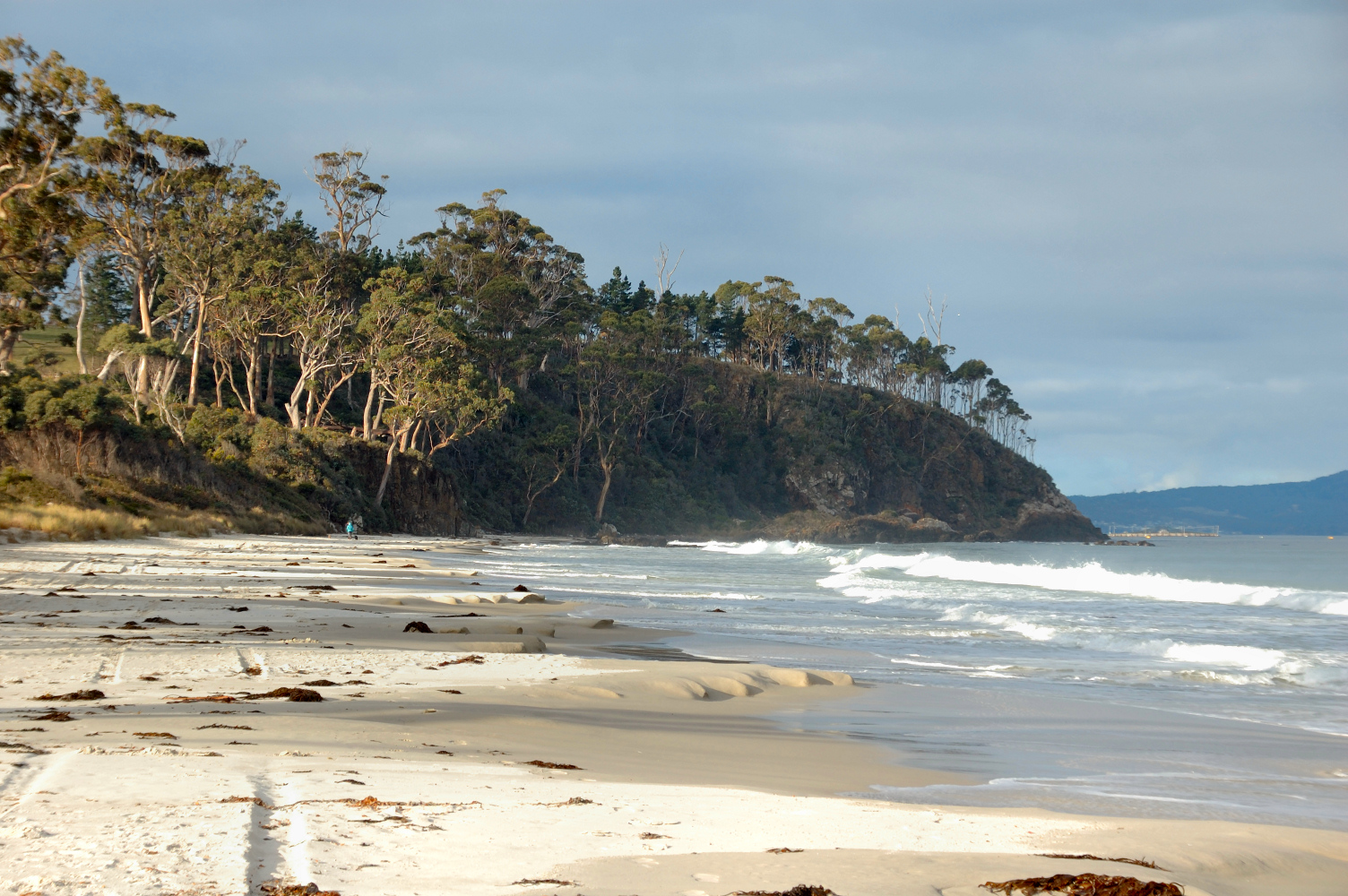 Foto von Little Roaring Bay Beach wilde gegend