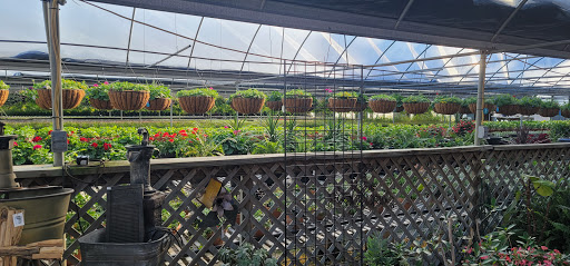 Sanderlin Greenhouses image 9