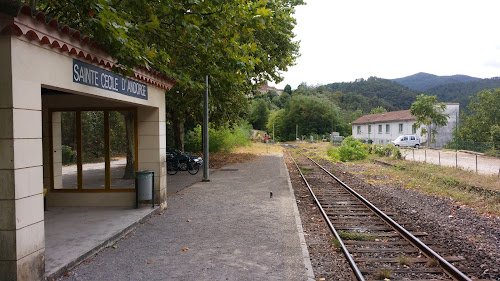 Train de l'Andorge en Cévennes - TAC à Sainte-Cécile-d'Andorge