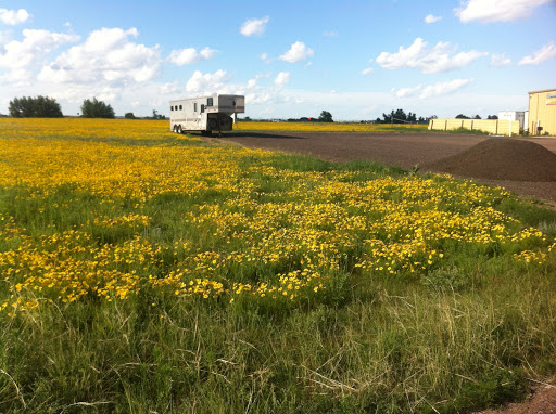 Tire Shop «Tire King of Falcon», reviews and photos, 8345 Blue Gill Dr, Peyton, CO 80831, USA