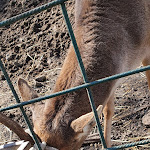 Photo n°4 de l'avis de Gianfranco.i fait le 27/02/2021 à 13:33 sur le  Il Casolare delle Balze à Bronte