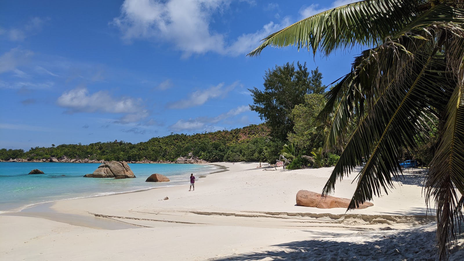 Foto di Anse Marie Louise Beach con una superficie del sabbia beige