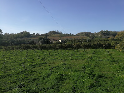 Tenuta Oppedisano Via Castelvetere, 36, 89041 Caulonia RC, Italia