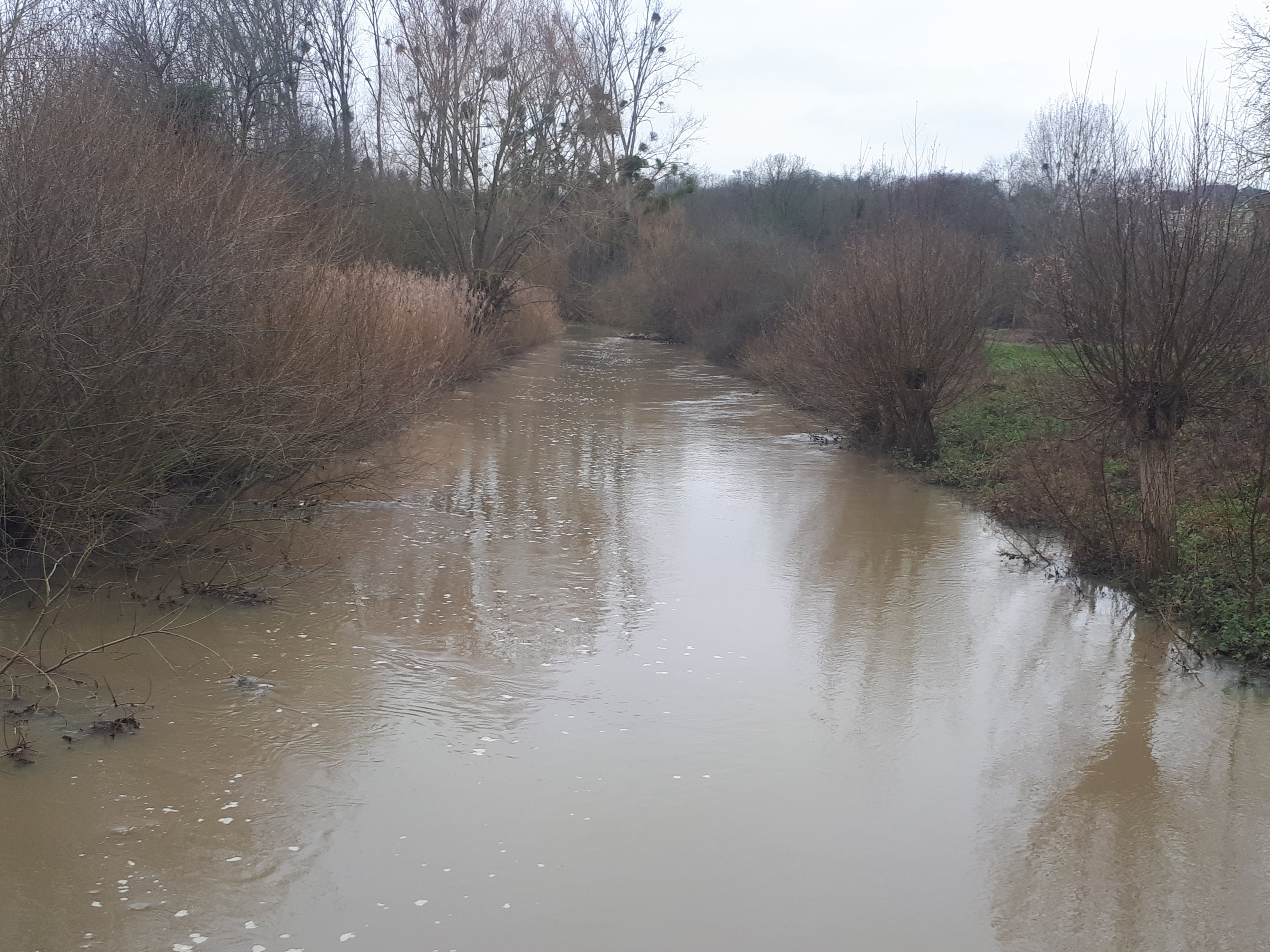 Photo n° 3 de l'avis de Magali.e fait le 07/01/2018 à 16:08