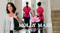 MOLLY MAID of Savannah, Richmond Hill and Statesboro - Photo 2 - Car repair in Savannah, GA, Savannah