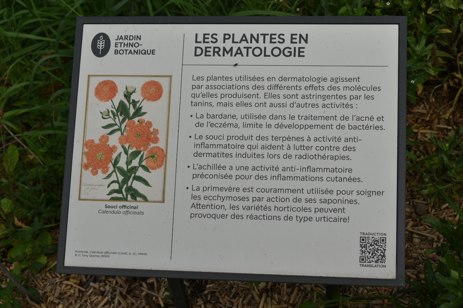 Photo n° 5 de l'avis de ATMANI.i fait le 17/10/2023 à 20:13