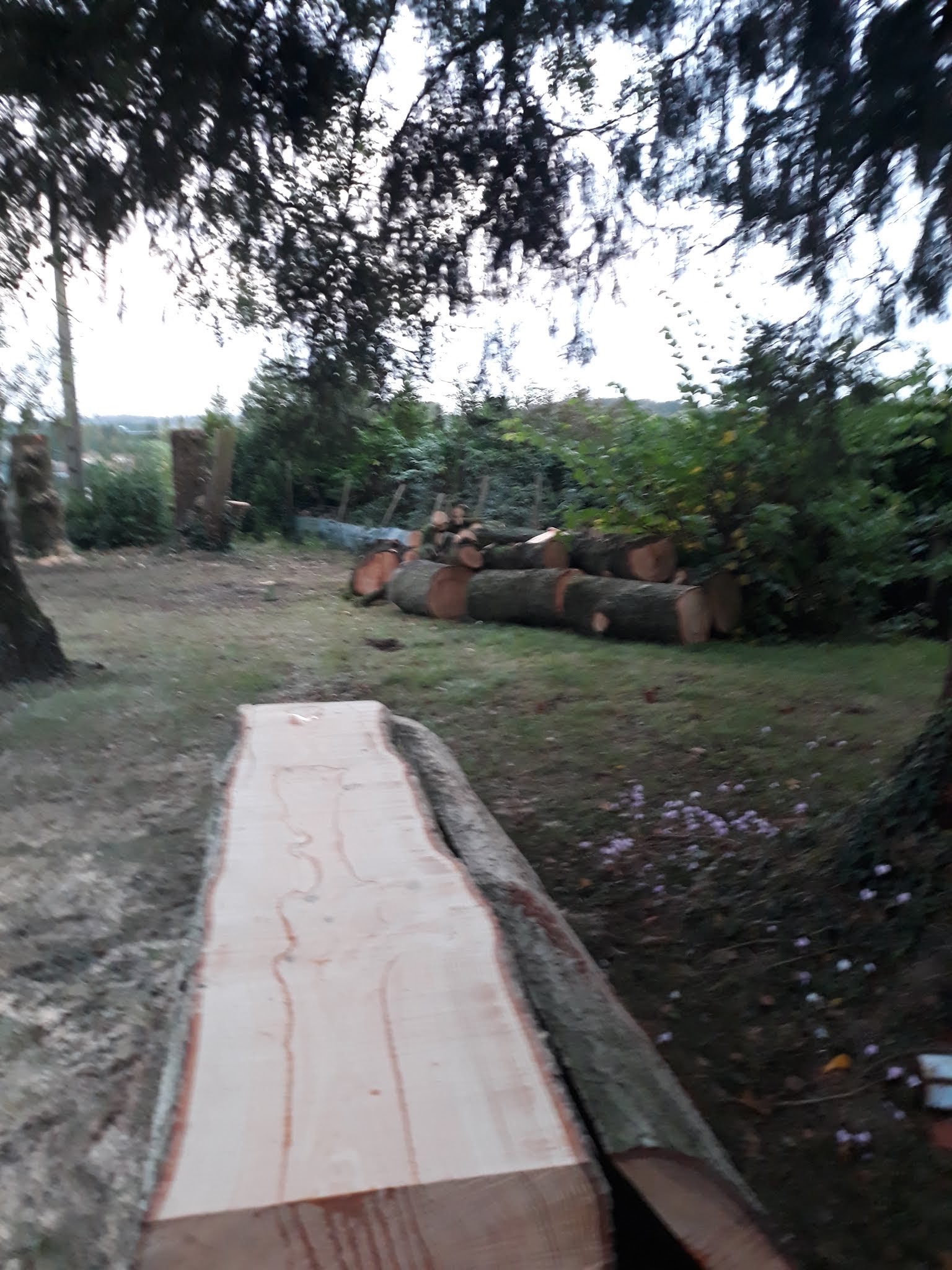 Photo n° 6 de l'avis de Yann.i fait le 02/10/2019 à 14:14