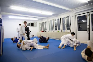 Jiu-Jitsu Academy Zuerich image