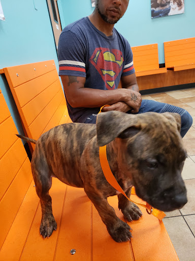 Pet Supply Store «PetSmart», reviews and photos, 8660 Airline Hwy, Baton Rouge, LA 70815, USA