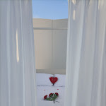 Photo n°2 de l'avis de Martina.o fait le 26/08/2022 à 08:25 sur le  Le Perseidi Bubble Glamping à San Lorenzo Nuovo