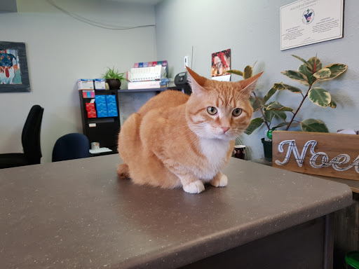 Hilltop Veterinary Clinic image