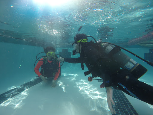 Dive Shop «Orbit Marine Sports Center Inc», reviews and photos, 3273 Fairfield Ave, Bridgeport, CT 06605, USA