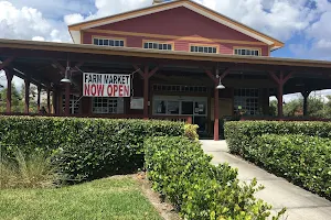 Sunflower Discount Grocery Liquidation Outlet image