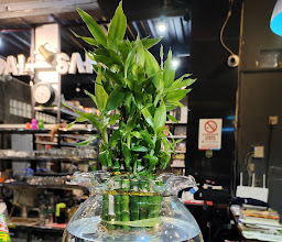 Kedai Kopi Saring (kedai saring) photo