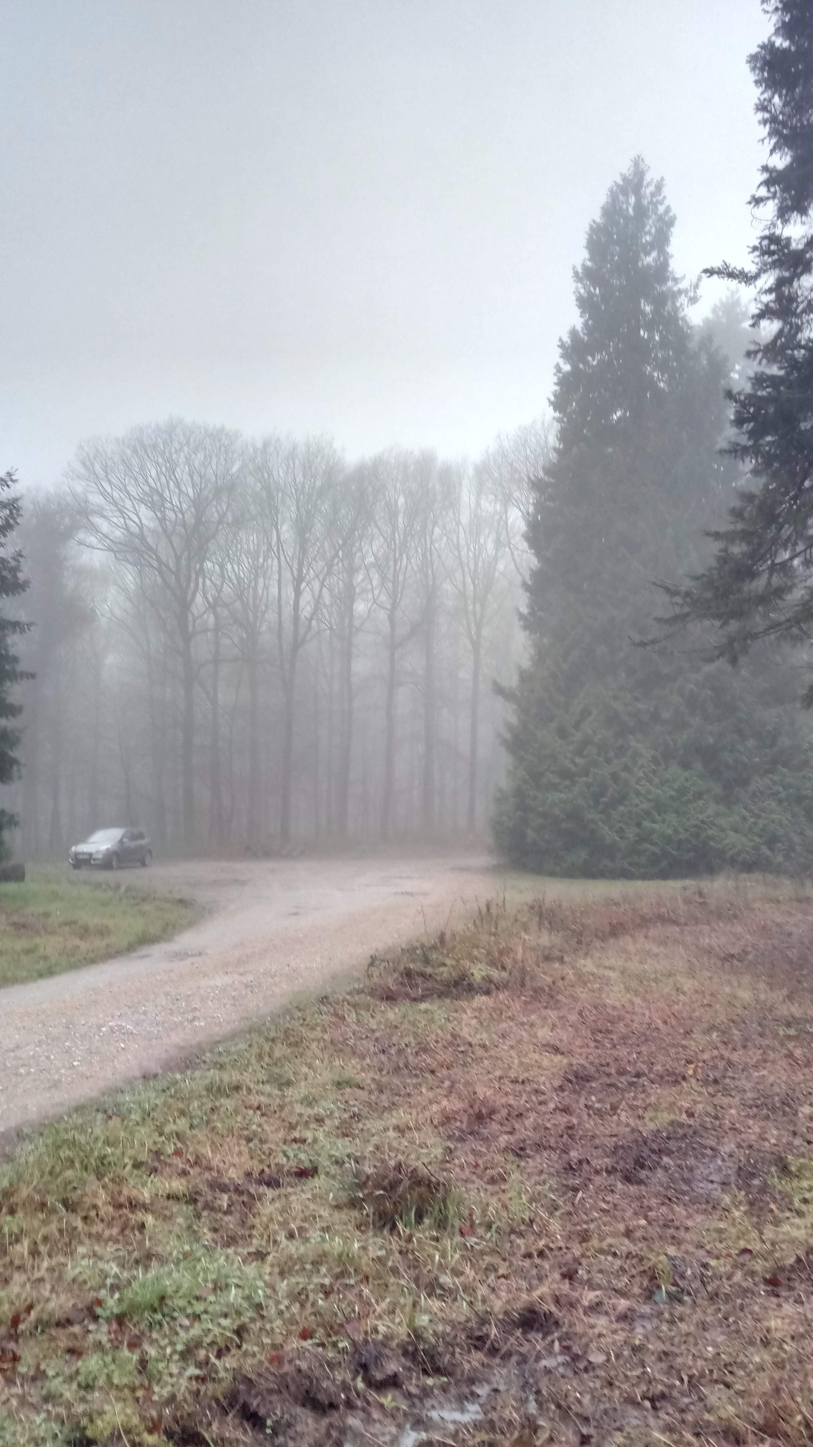 Photo n° 1 de l'avis de geo.e fait le 07/01/2020 à 07:41