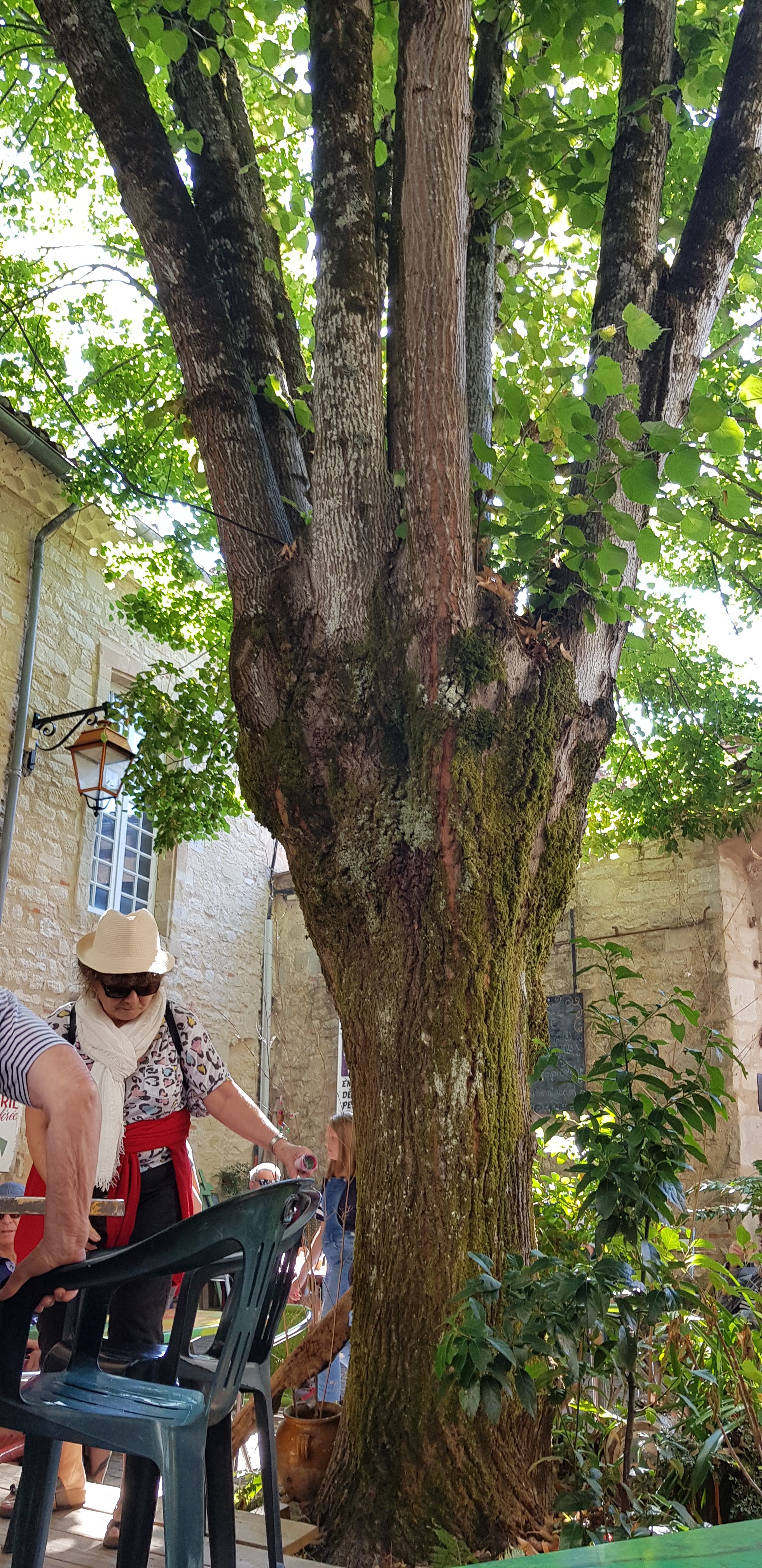 Photo n° 1 de l'avis de Emmanuel.9 fait le 03/08/2019 à 09:42