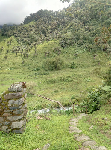 Opiniones de Ruinas de Malqui - Machay en Pucayacu - Museo