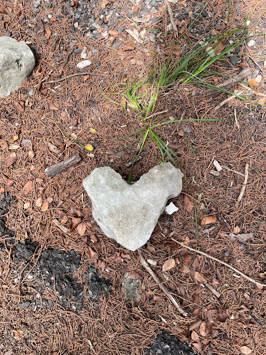 Nature Preserve «Stillhouse Hollow Nature Preserve», reviews and photos, 7810 Sterling Dr, Austin, TX 78759, USA