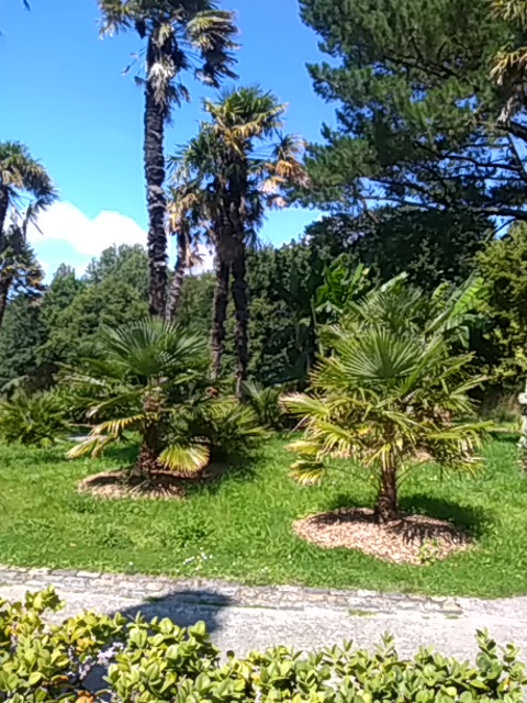 Photo n° 11 de l'avis de Francis.u fait le 19/08/2021 à 18:02