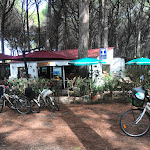 Photo n°2 de l'avis de Valerio.a fait le 20/08/2022 à 08:44 sur le  La Baracchina à Vada