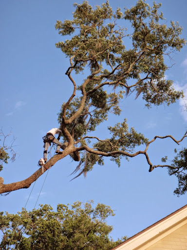 Southern Tree Experts of Pooler