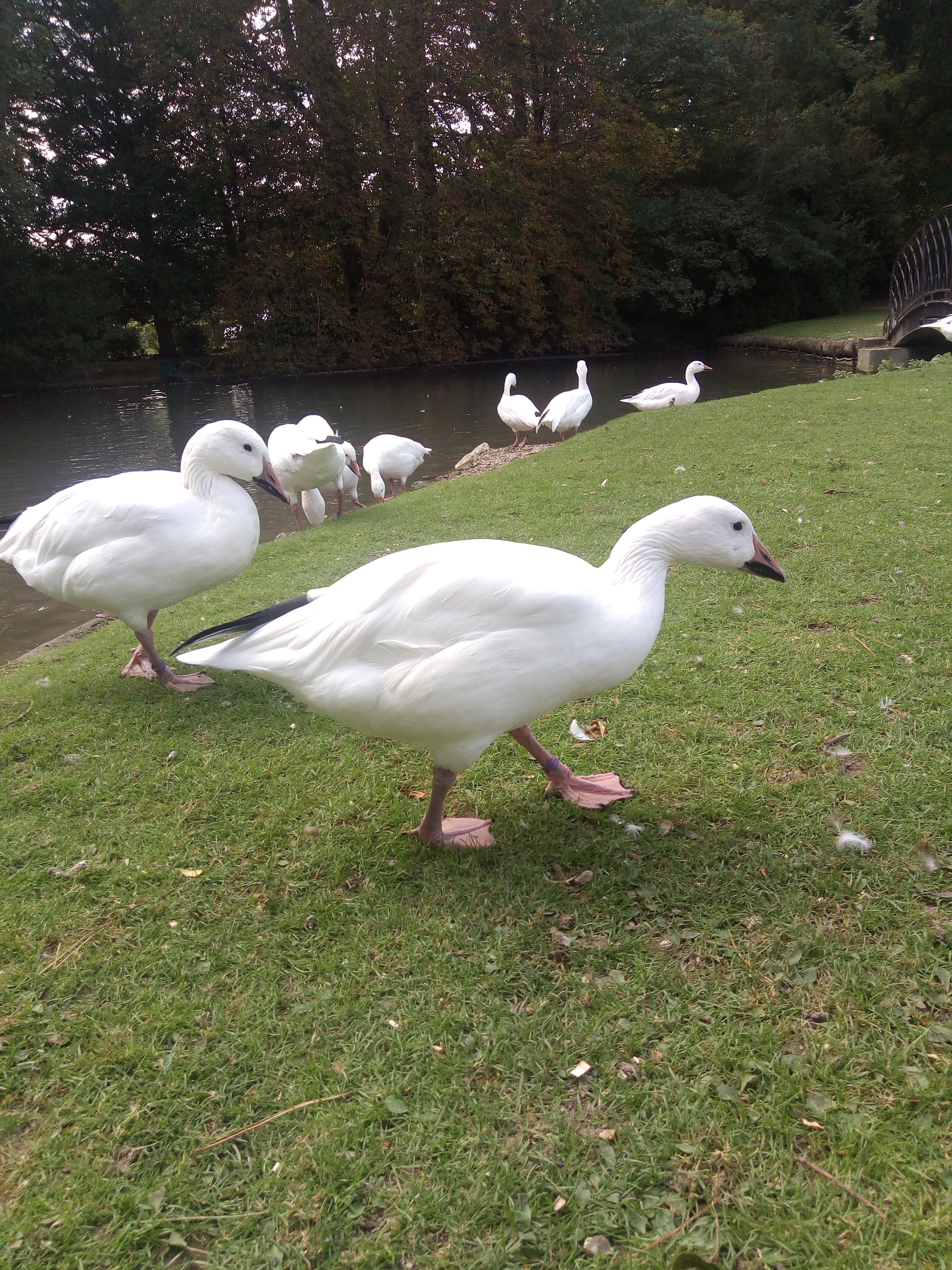 Photo n° 14 de l'avis de France.u fait le 11/10/2018 à 15:31