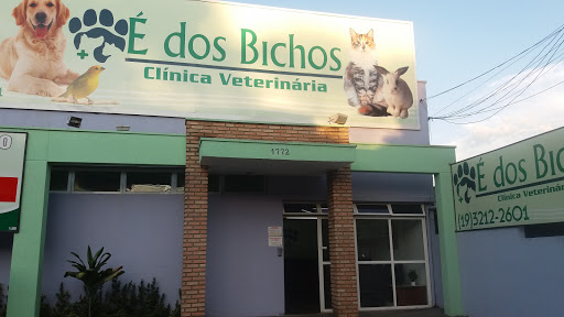 Clínica Veterinária É Dos Bichos em Campinas - SP
