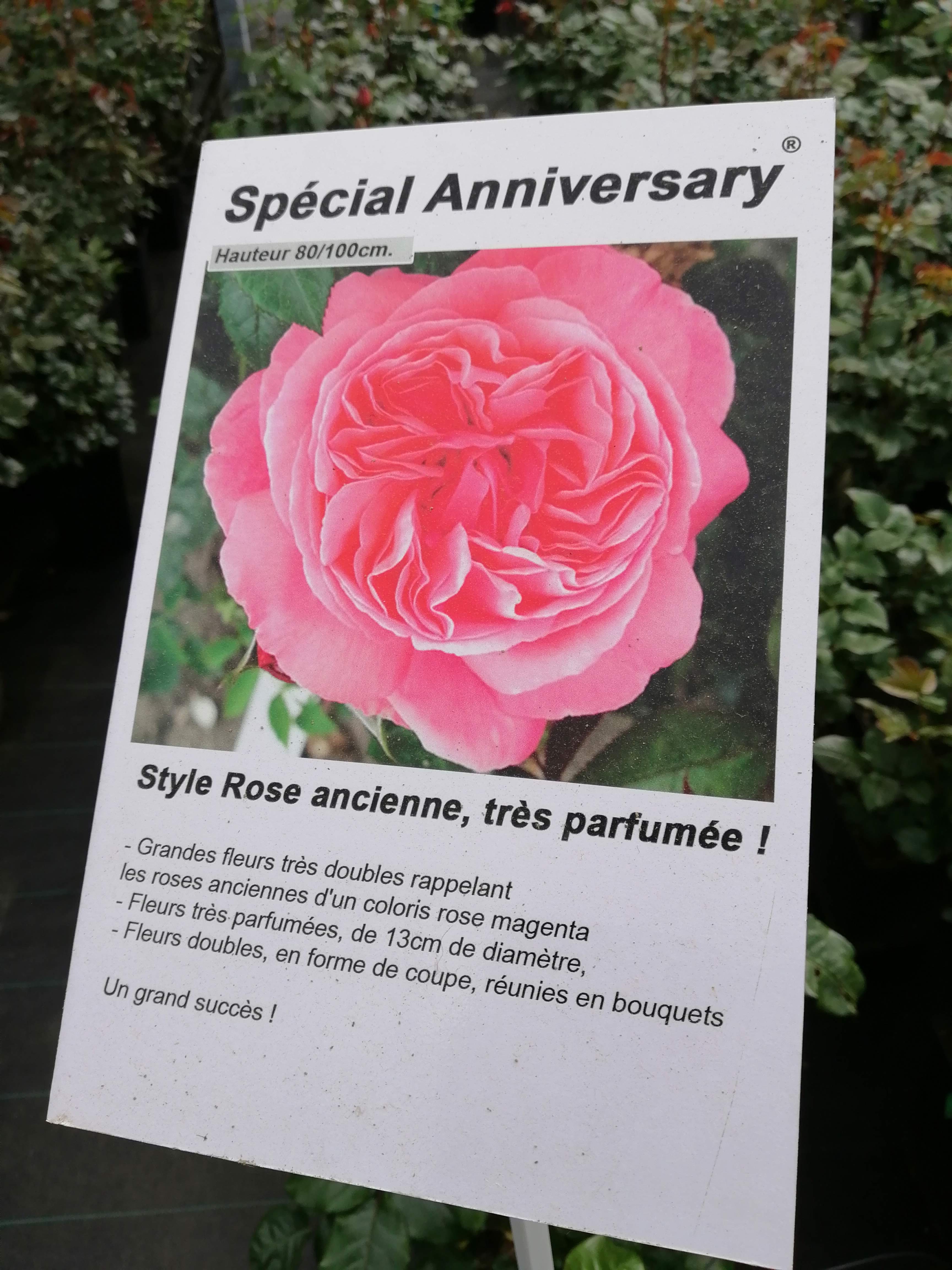 Photo n° 15 de l'avis de Isabel.r fait le 24/04/2019 à 16:53