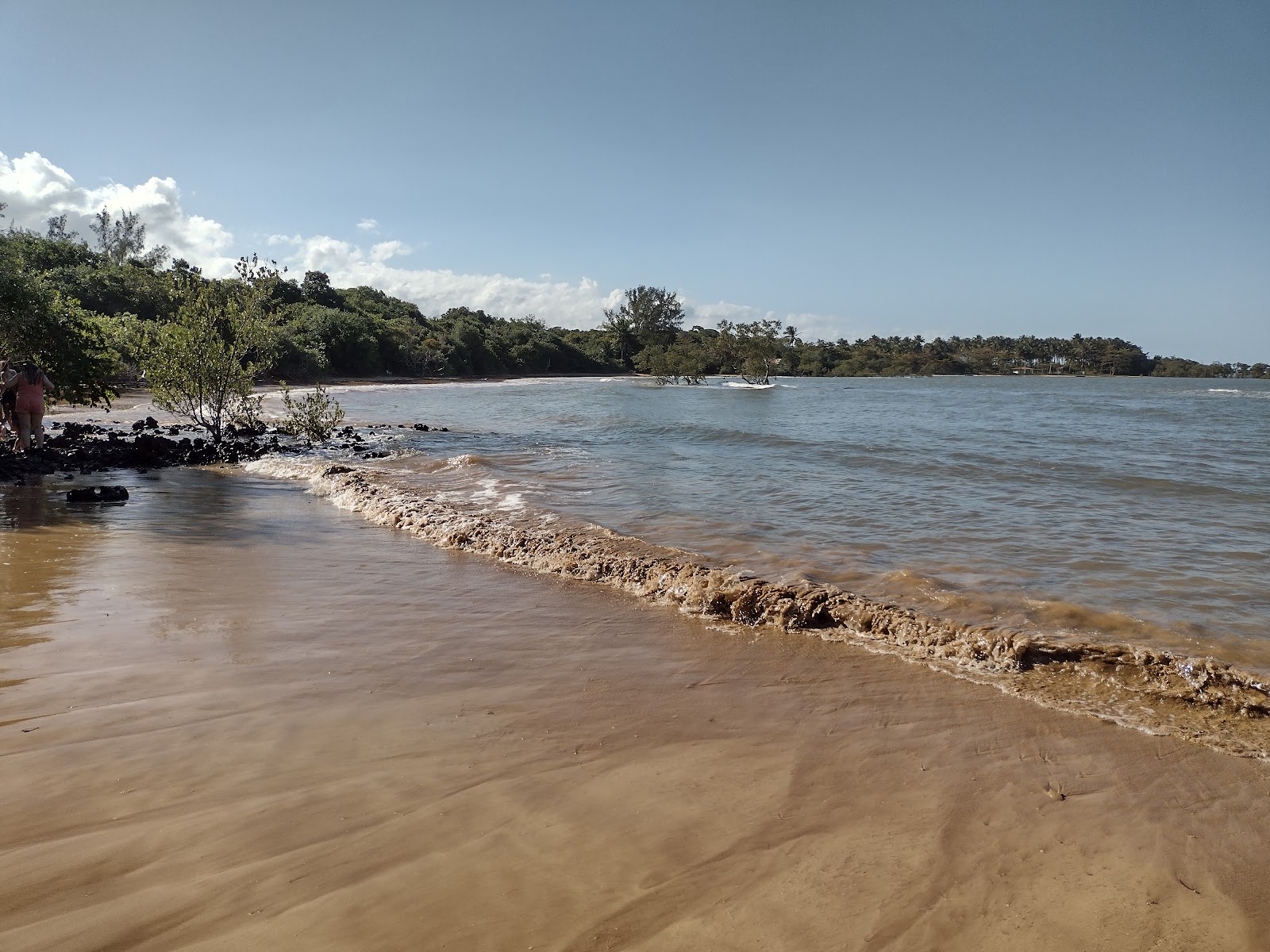 Foto von Strand der Biologie annehmlichkeitenbereich